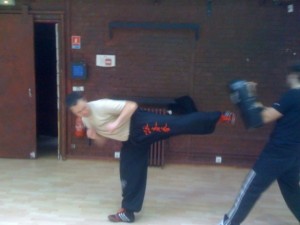 Le coup de pied "Queue de Tigre" en Kung Fu est une attaque extrêmement puissante, au cours de laquelle le talon vient percuter la cible